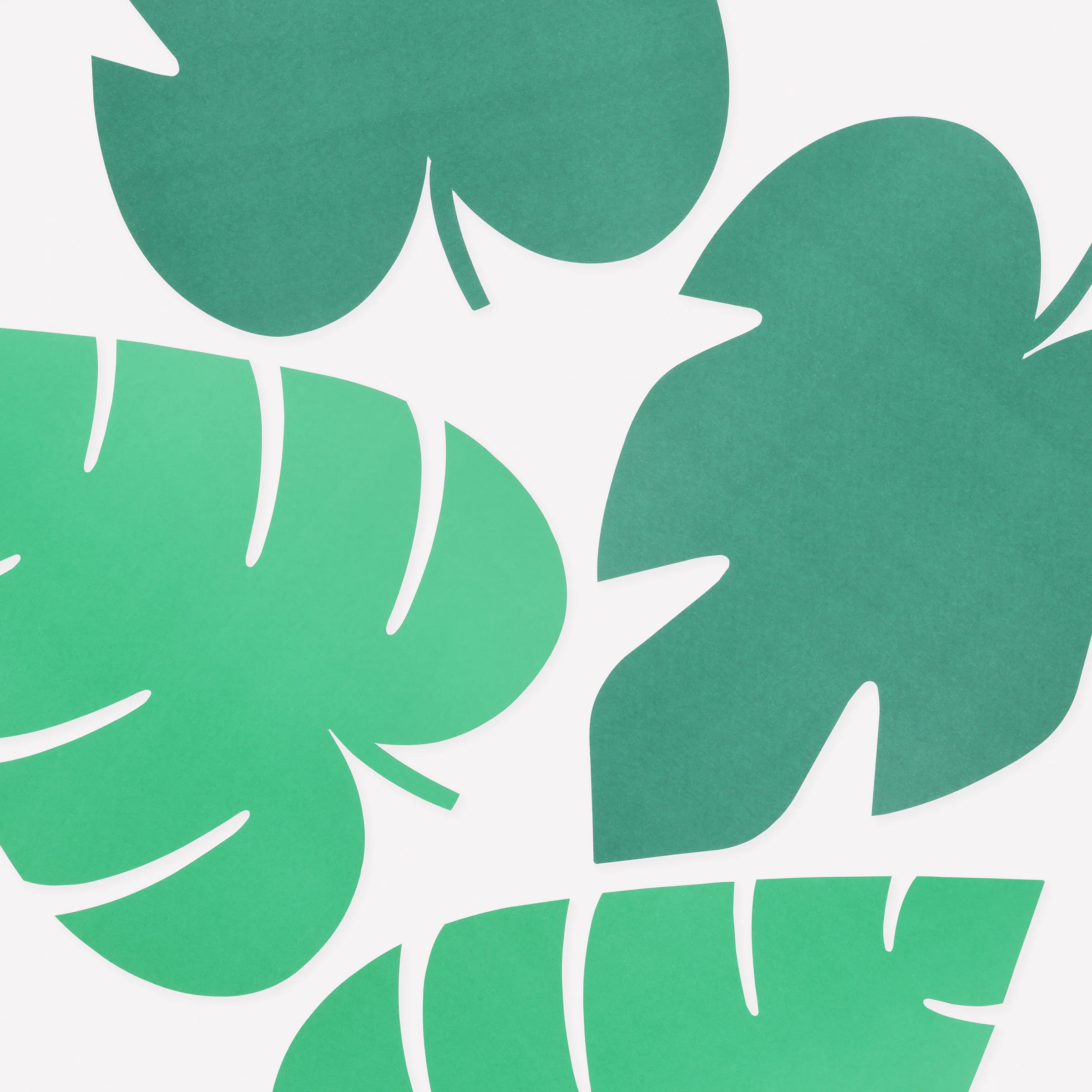 Jungle Party Set - Image 11