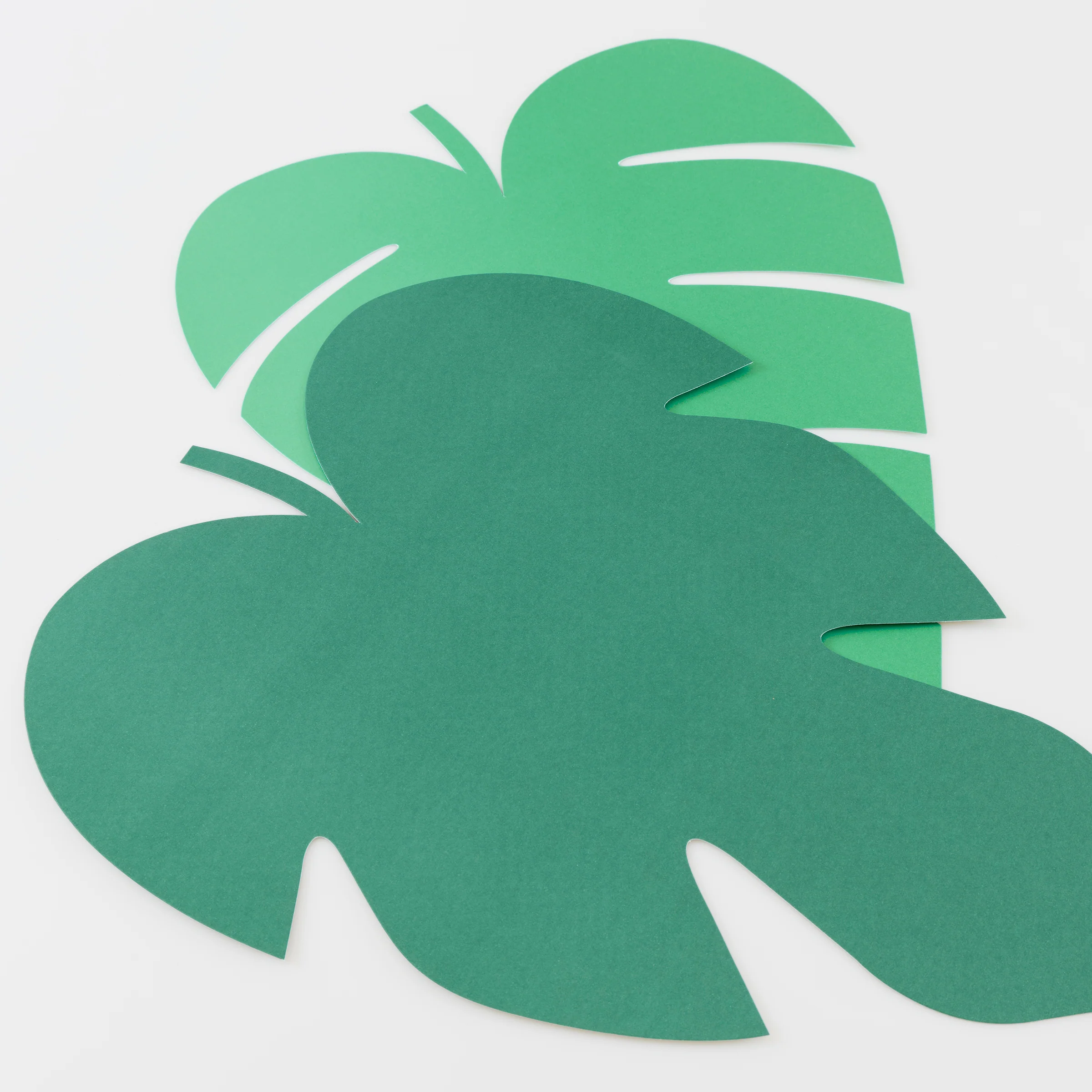 Jungle Party Set - Image 12