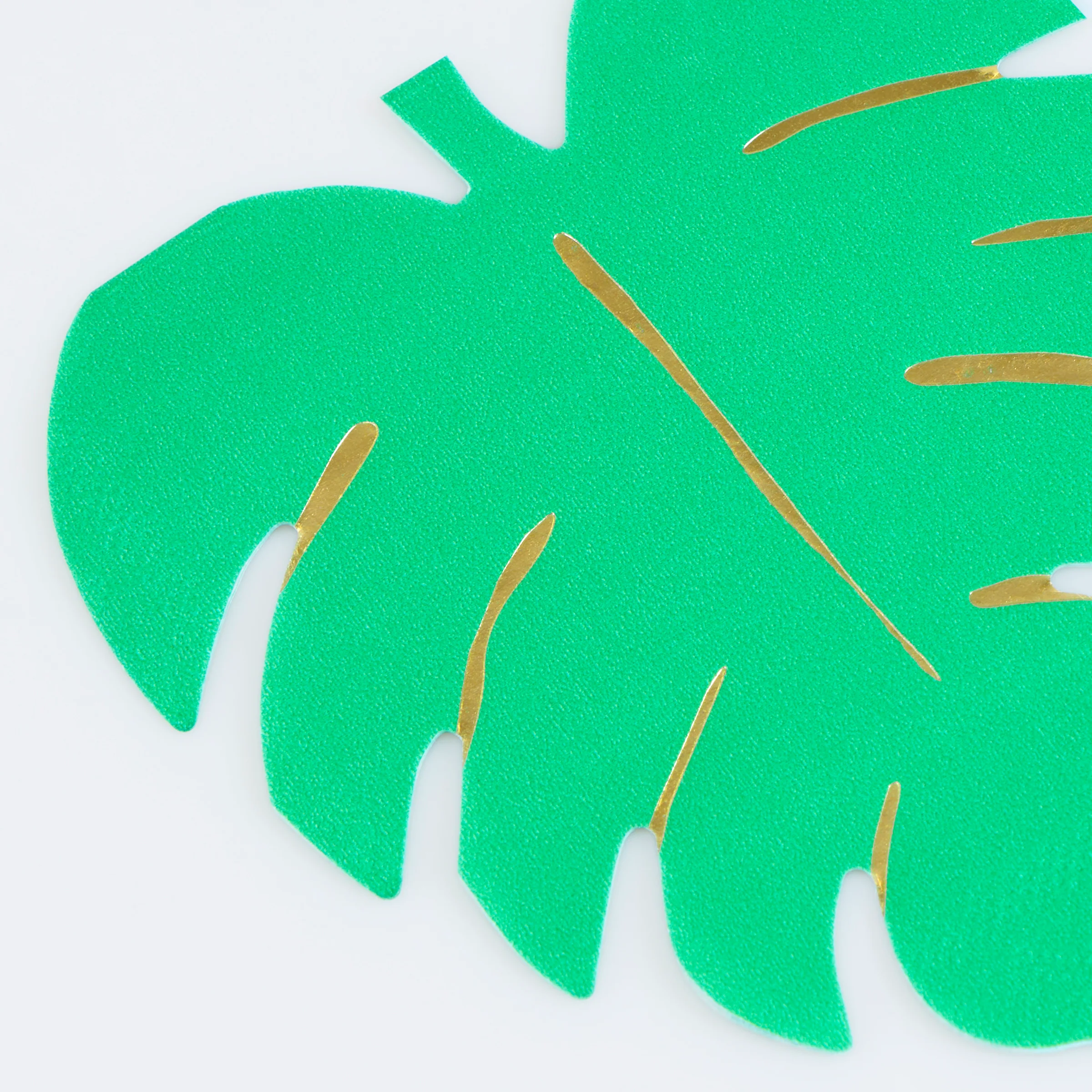 Jungle Party Set - Image 7