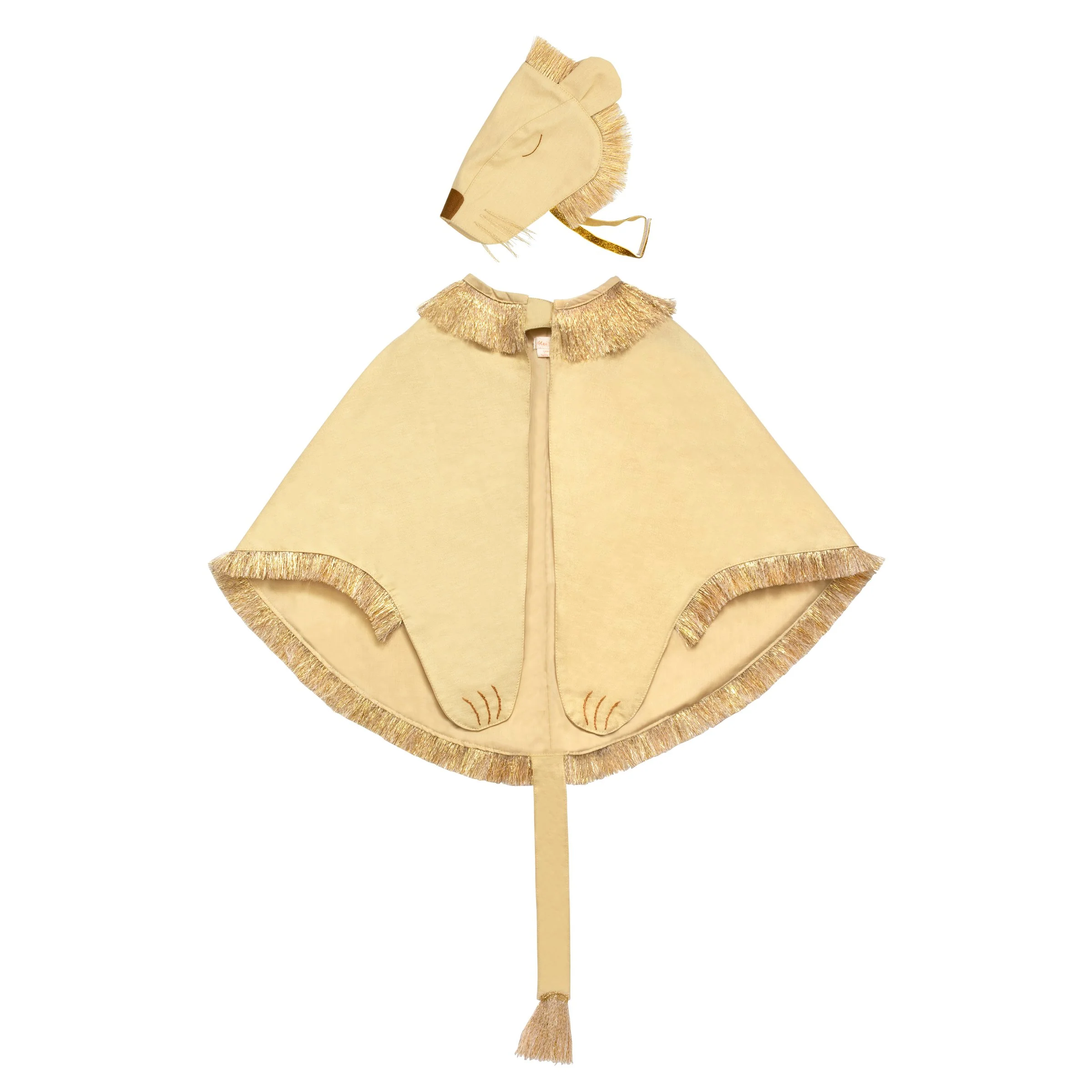 Lion Costume - Image 10