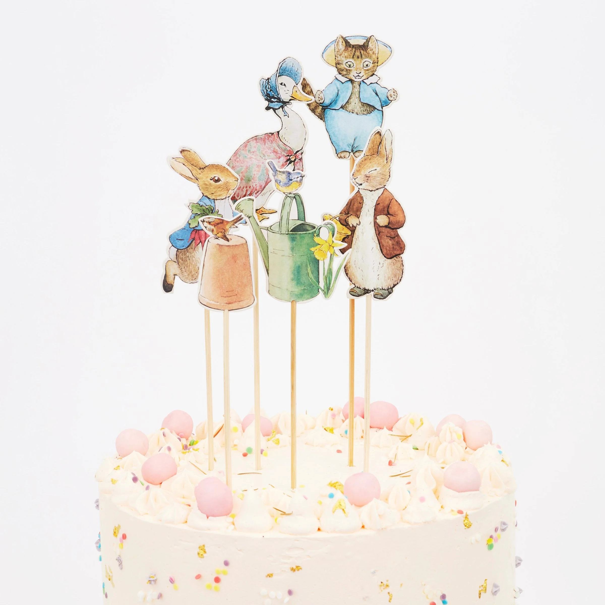 Peter Rabbit™ & Friends Cake Toppers (x 6)