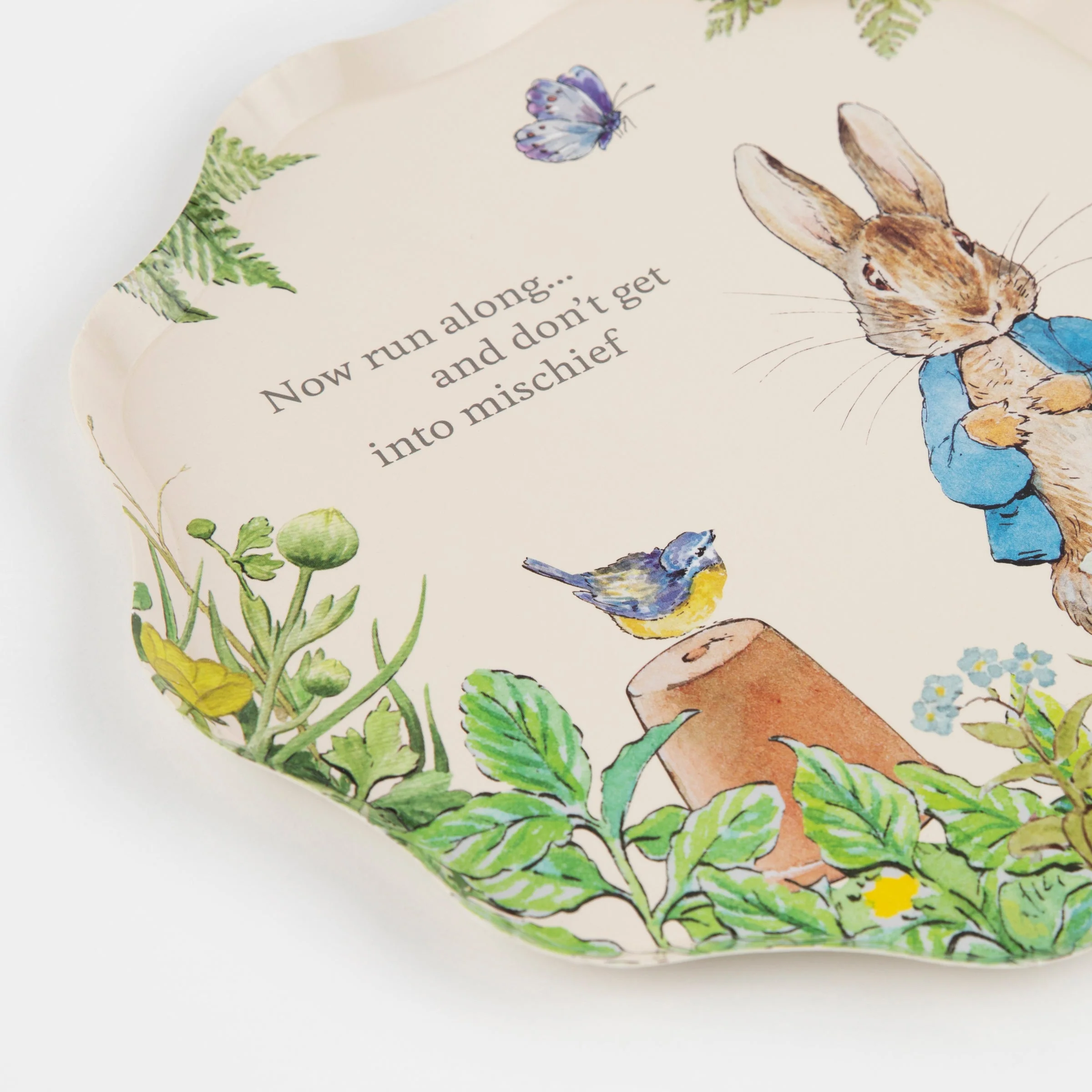 Peter Rabbit™ In The Garden Side Plates (x 8) - Image 3
