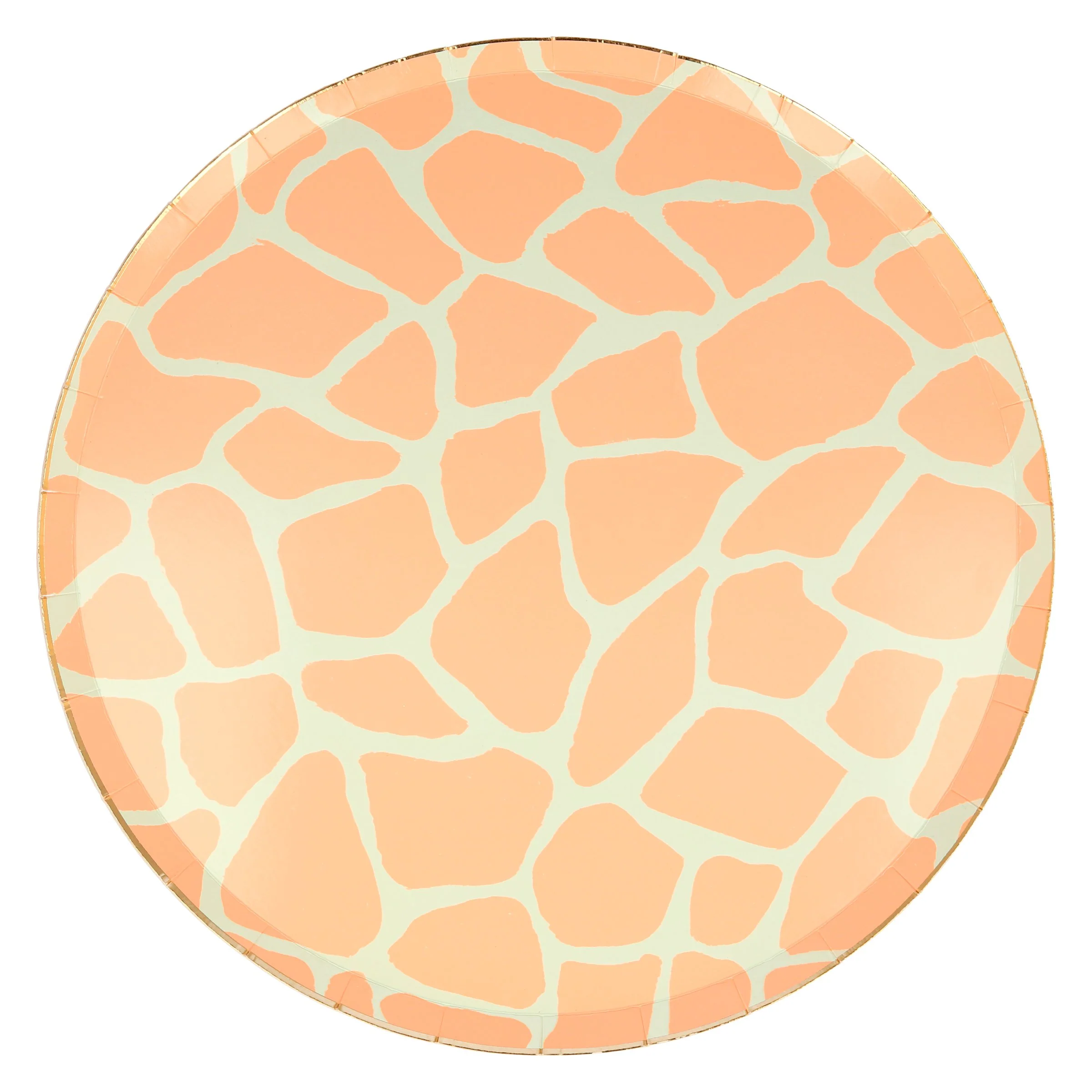 Safari Animal Print Dinner Plates (x 8) - Image 2