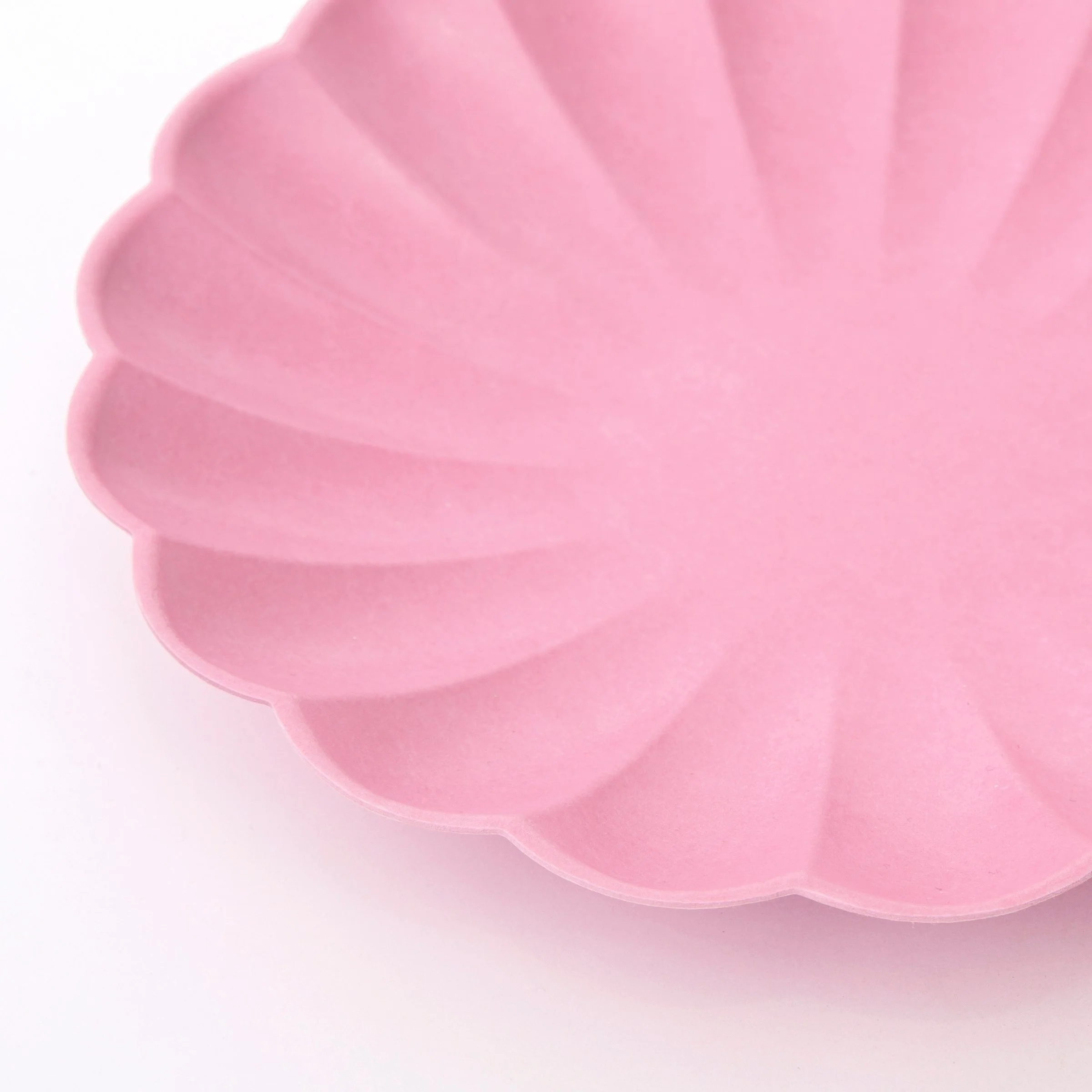 Small Bubblegum Pink Compostable Plates (x 8) - Image 2