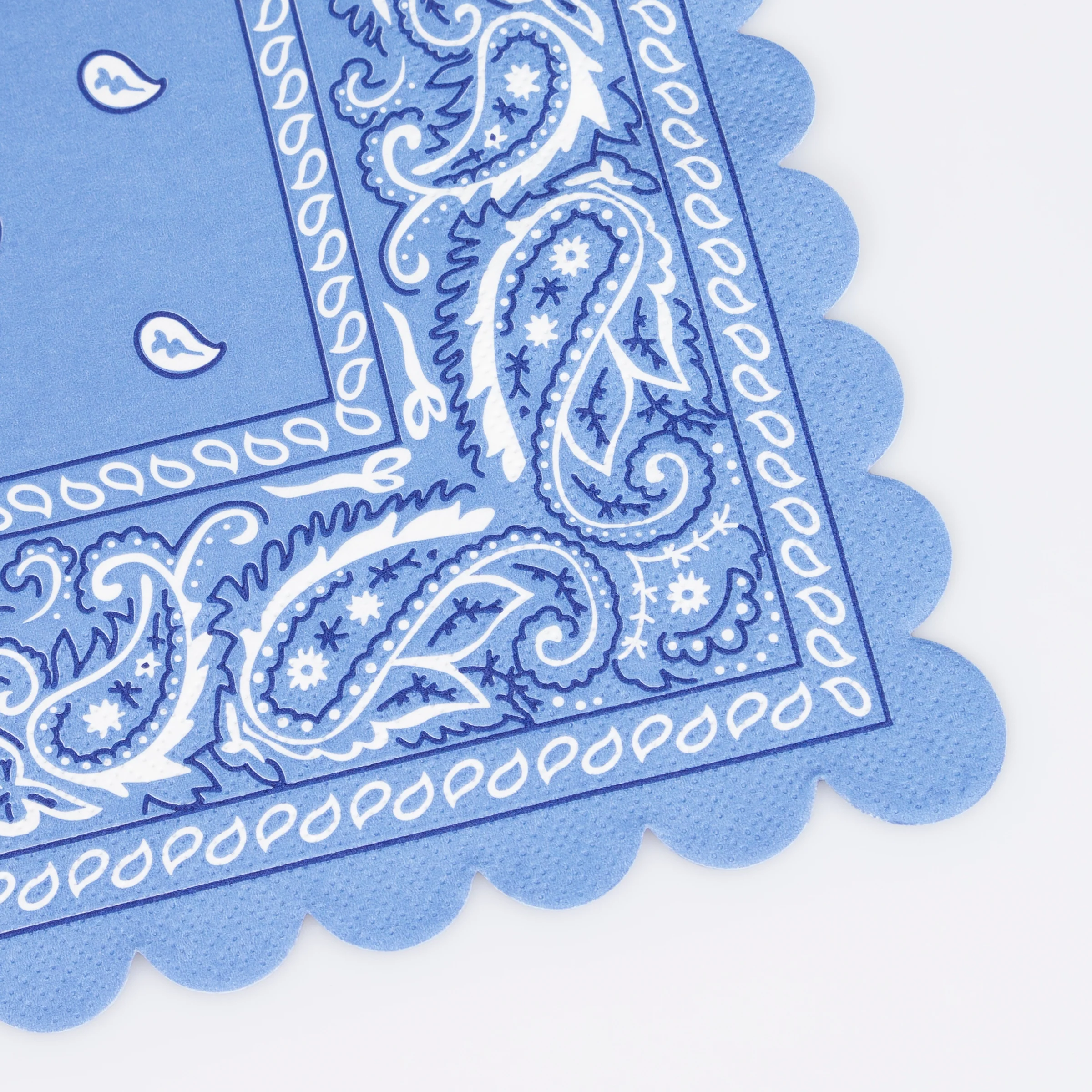 Western Bandana Large Napkins (x 16) - Image 3