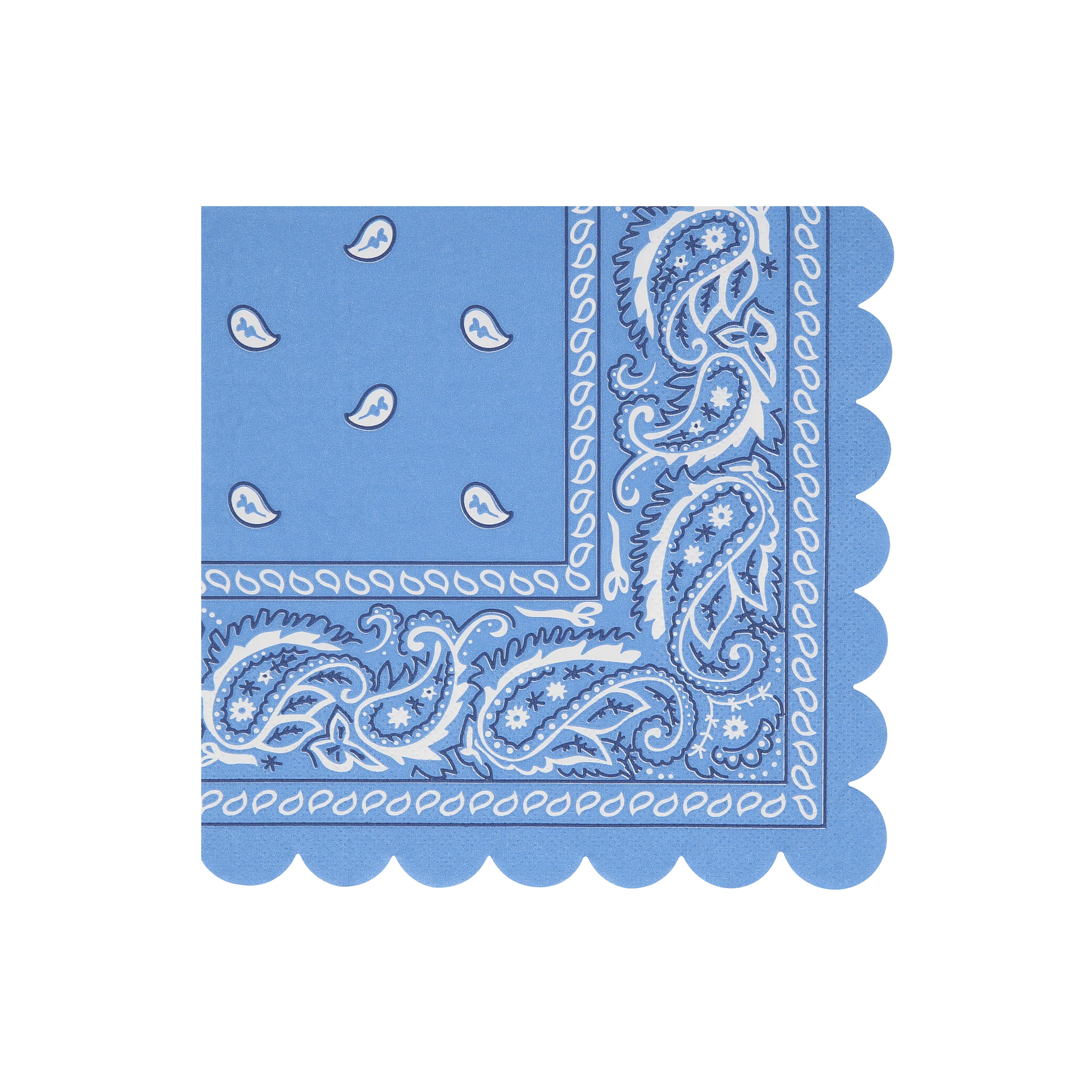 Western Bandana Large Napkins (x 16) - Image 5