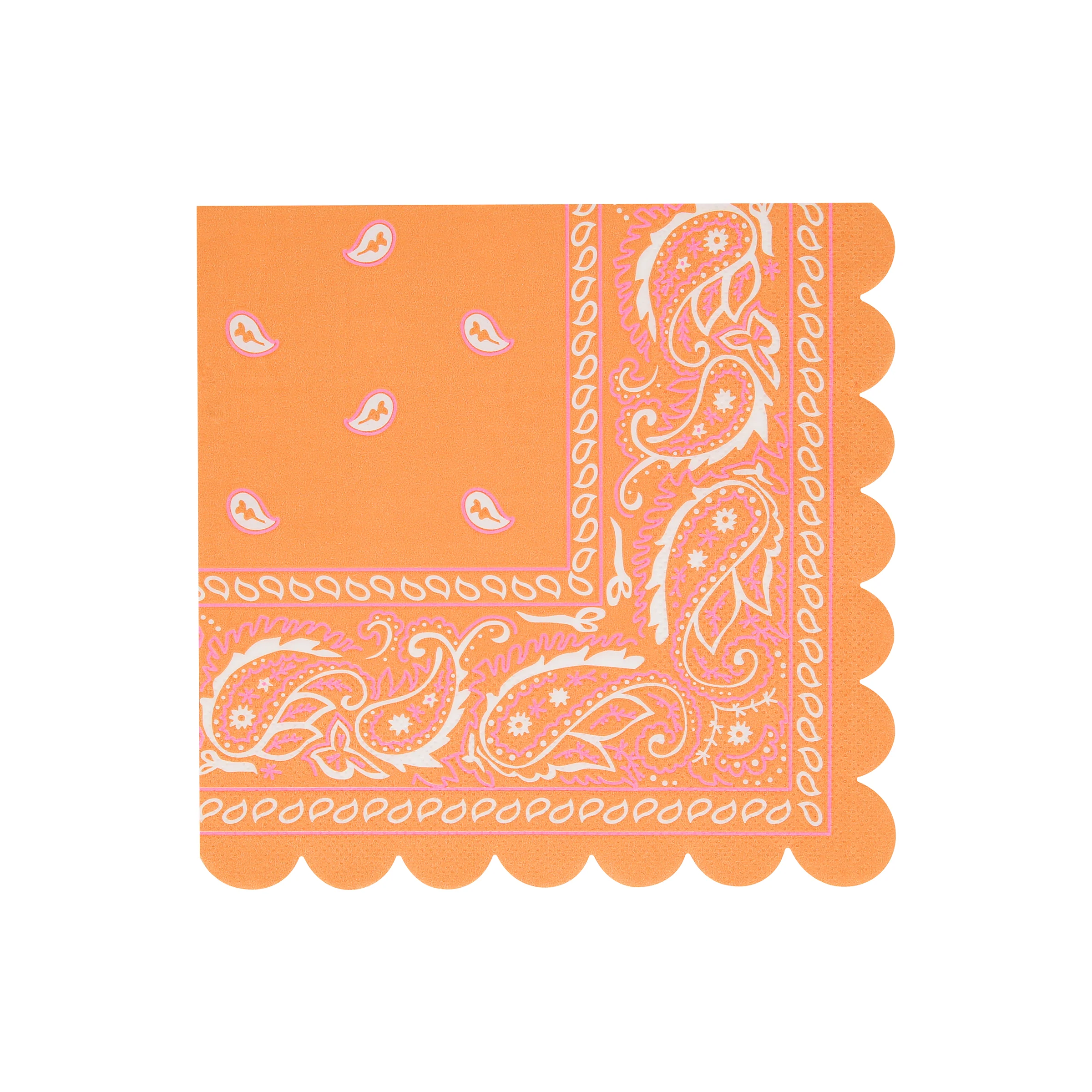 Western Bandana Large Napkins (x 16) - Image 8